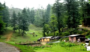 Dehradun