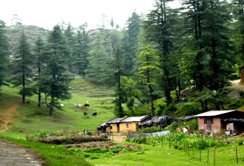 Best Dehradun Tour