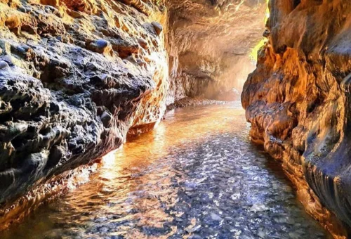 Best Dehradun Tour