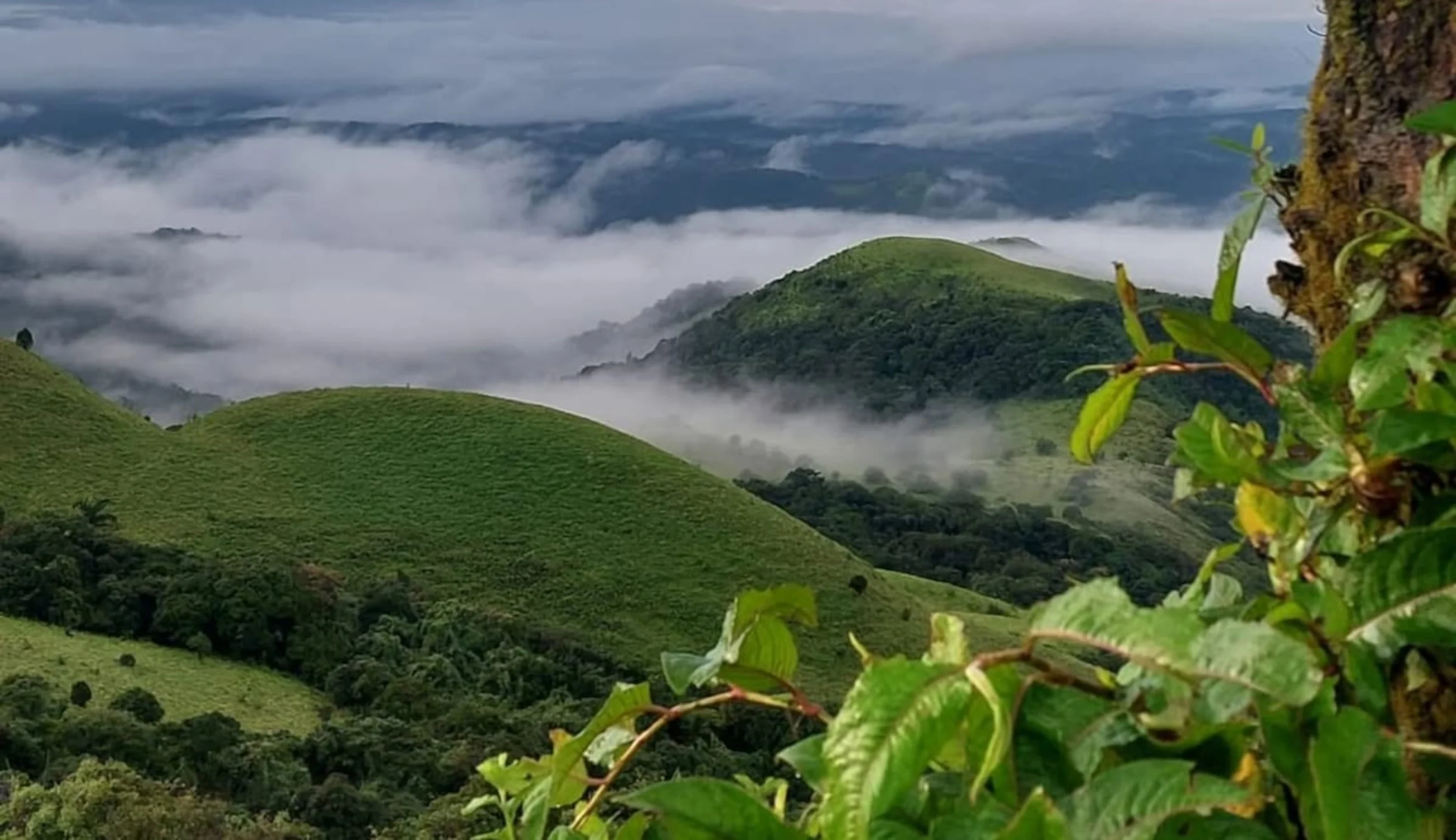 Coorg,