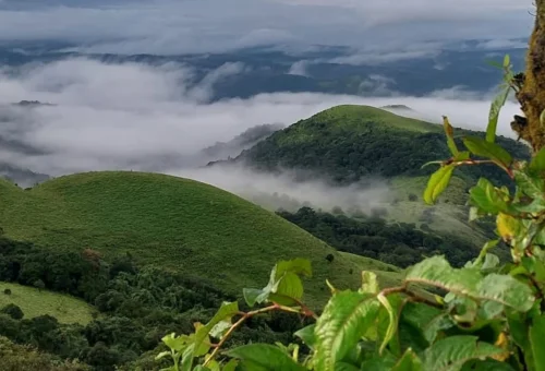 Best Coorg, Tour