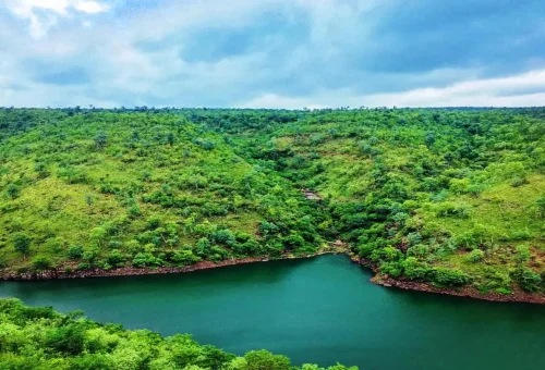 Nallamala Forest