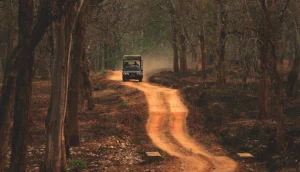 Jeep Safari In Kabini