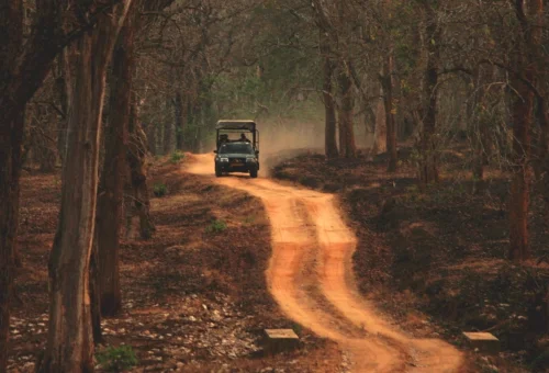 Best Kabini Tour