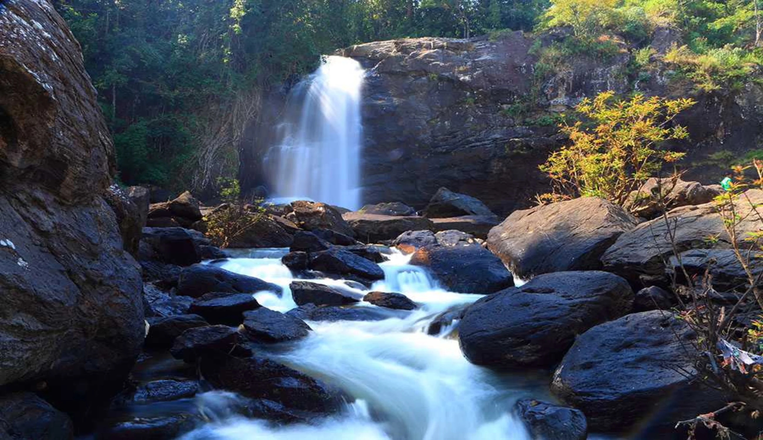 Soochipara Falls Wayanad