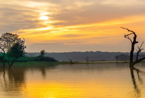 Best Kabini Tour