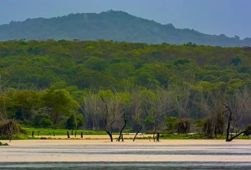 Nagarhole National Park