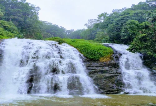 Best Coorg Tour