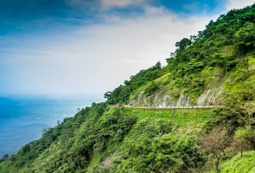 Best Calicut Tour