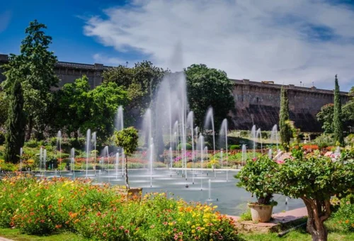 Best Mysore Tour