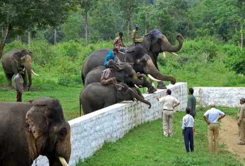 Best Coorg Tour
