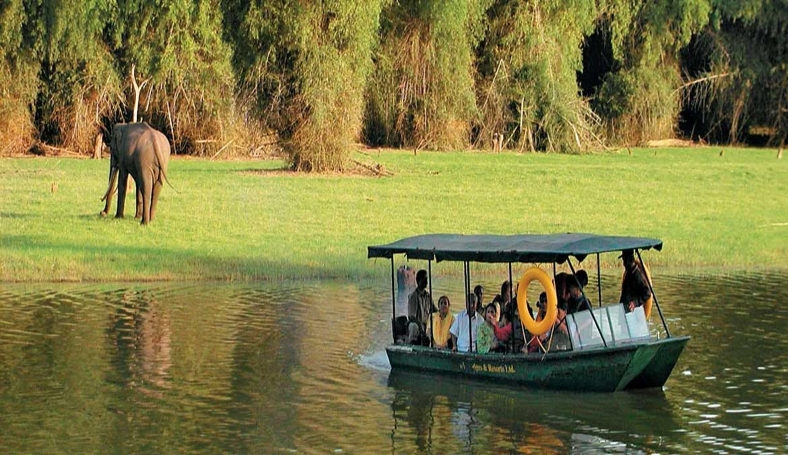 Boat Safari