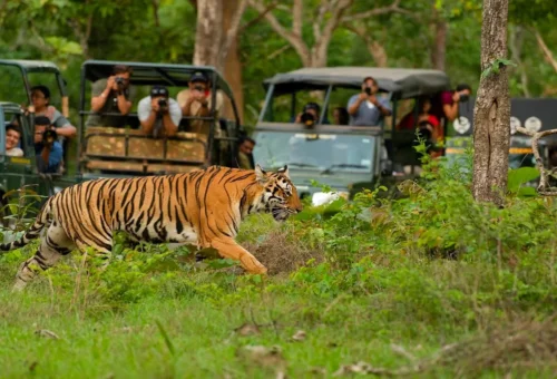 Best Kabini Tour