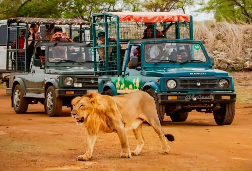 Best Sasan Gir Tour