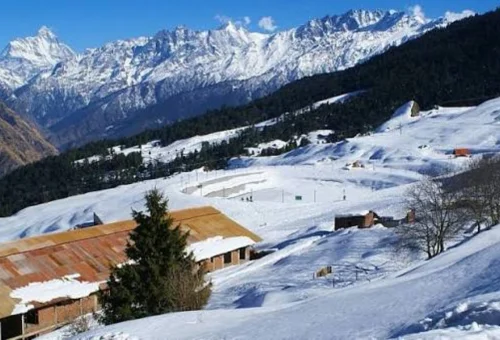Auli