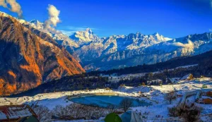 Auli