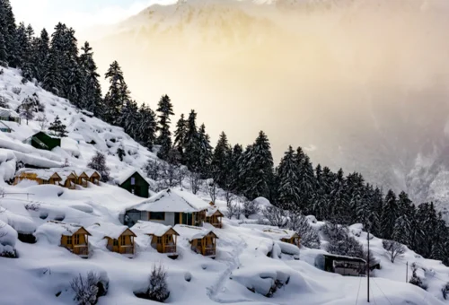 Best Auli Tour