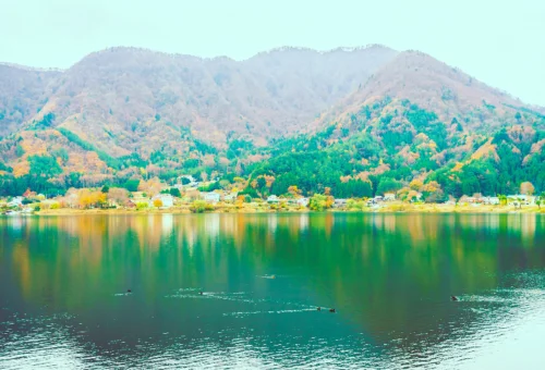 Auli