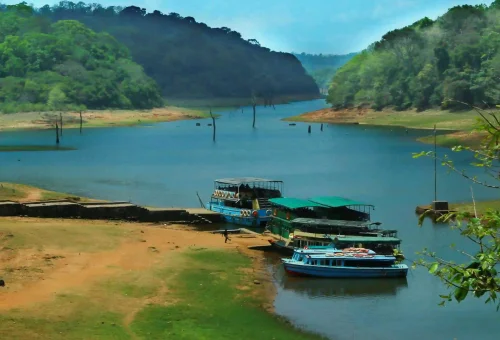 Best Periyar Tour