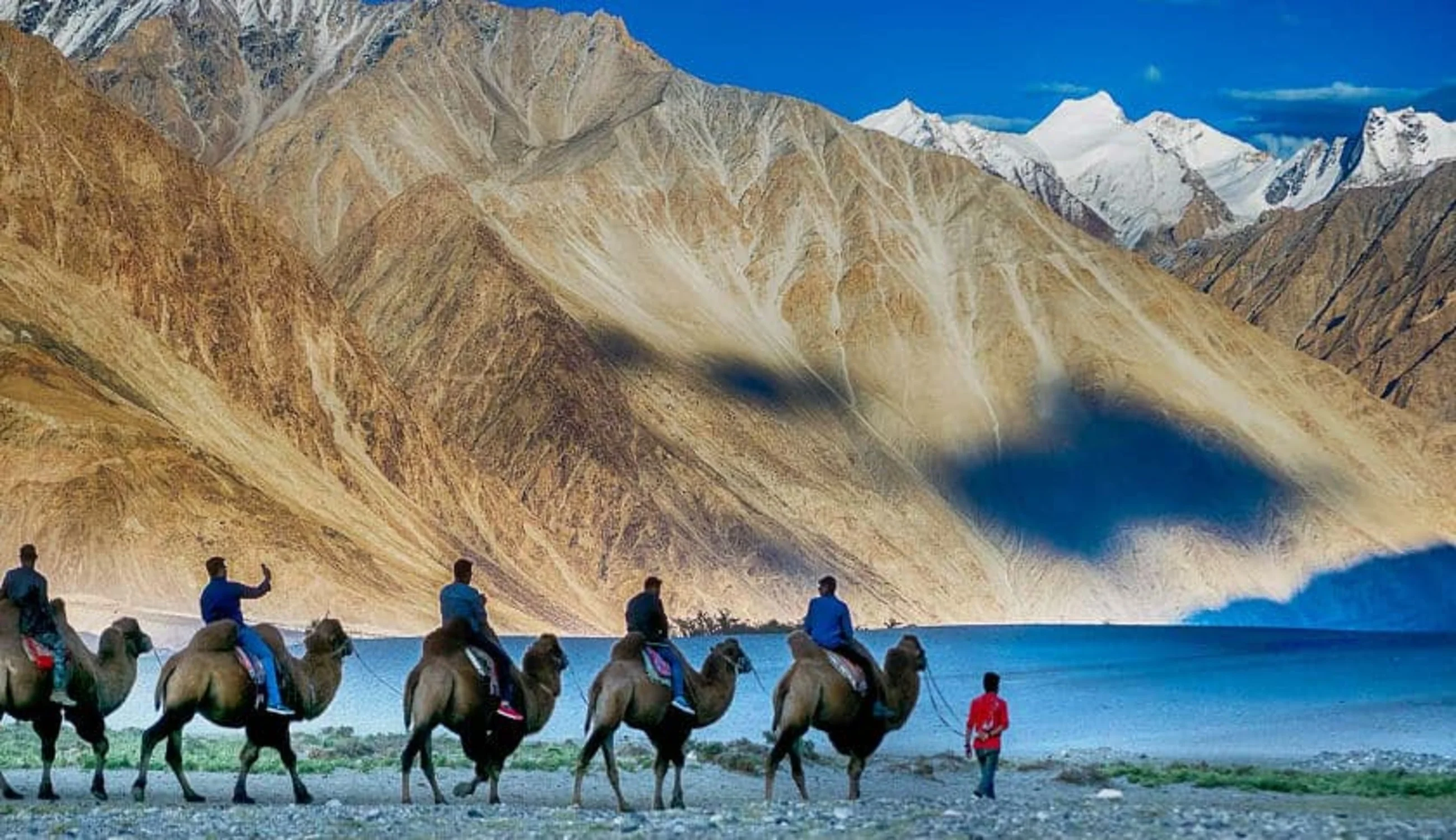 Best Leh Tour