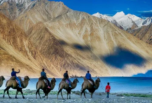 Best Leh Tour