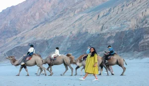 Best Leh Tour