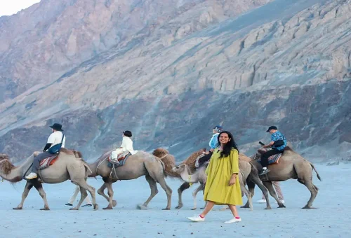 Best Leh Tour