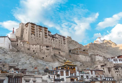 Best Leh Tour