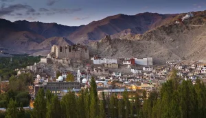 Best Leh Tour