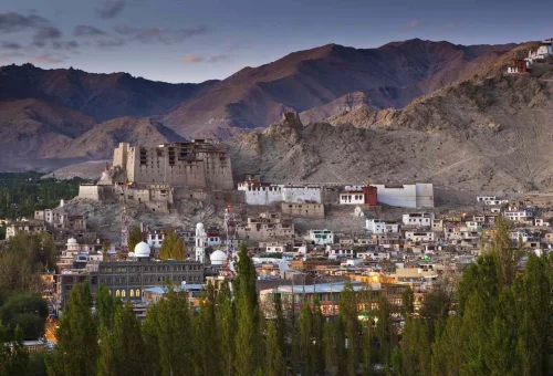 Best Leh Tour