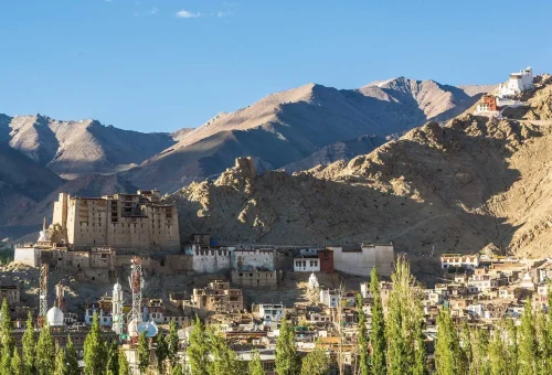Best Leh Tour
