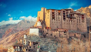 Best Leh Tour
