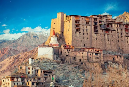 Best Leh Tour