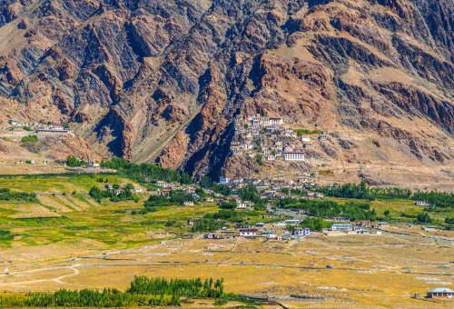 Best Kargil Tour
