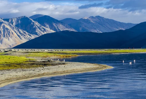 Best Pangong Tour