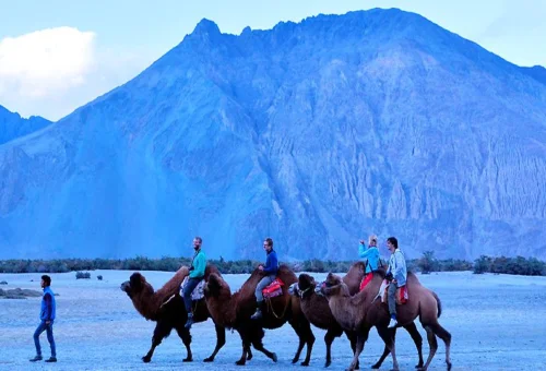 Best Nubra Tour