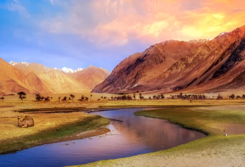 Best Nubra Tour