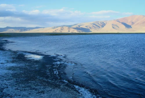 Tsokar