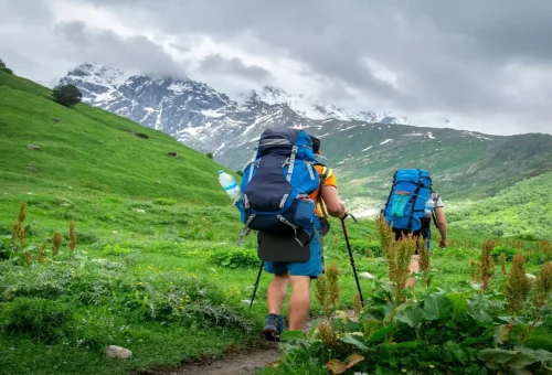 Best Jibhi Tour