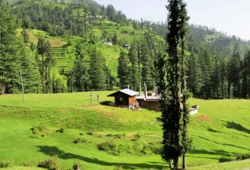 Best Janjehli Tour
