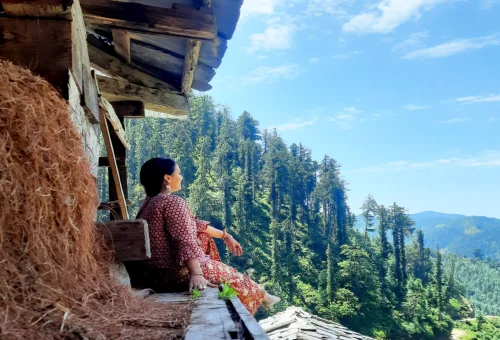 Best Janjehli Tour