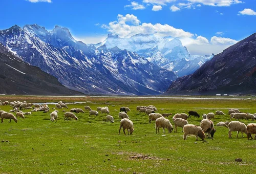 Zangla
