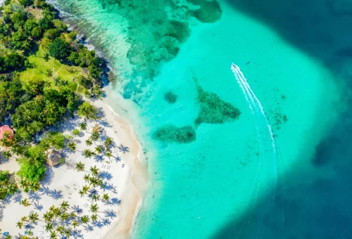 "Aerial view of tropical island with palm trees, white sand beach, and turquoise lagoon"