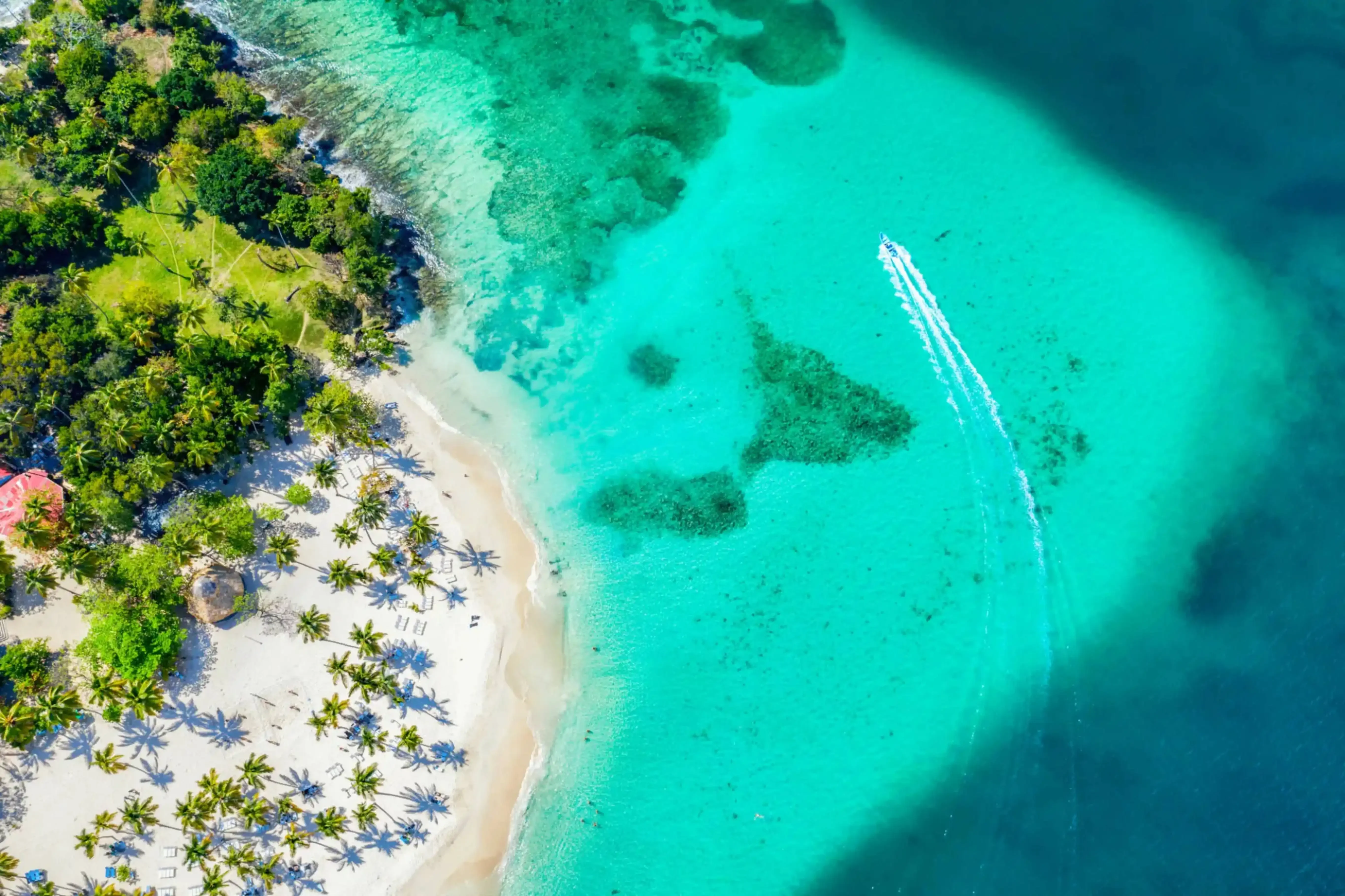 "Aerial view of tropical island with palm trees, white sand beach, and turquoise lagoon"