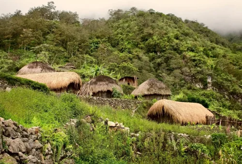 "Traditional thatched-roof huts nestled in lush green hillside village surrounded by tropical forest"