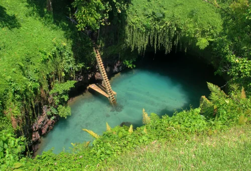 "Scenic turquoise water sinkhole surrounded by lush greenery with wooden staircase leading into the natural pool"