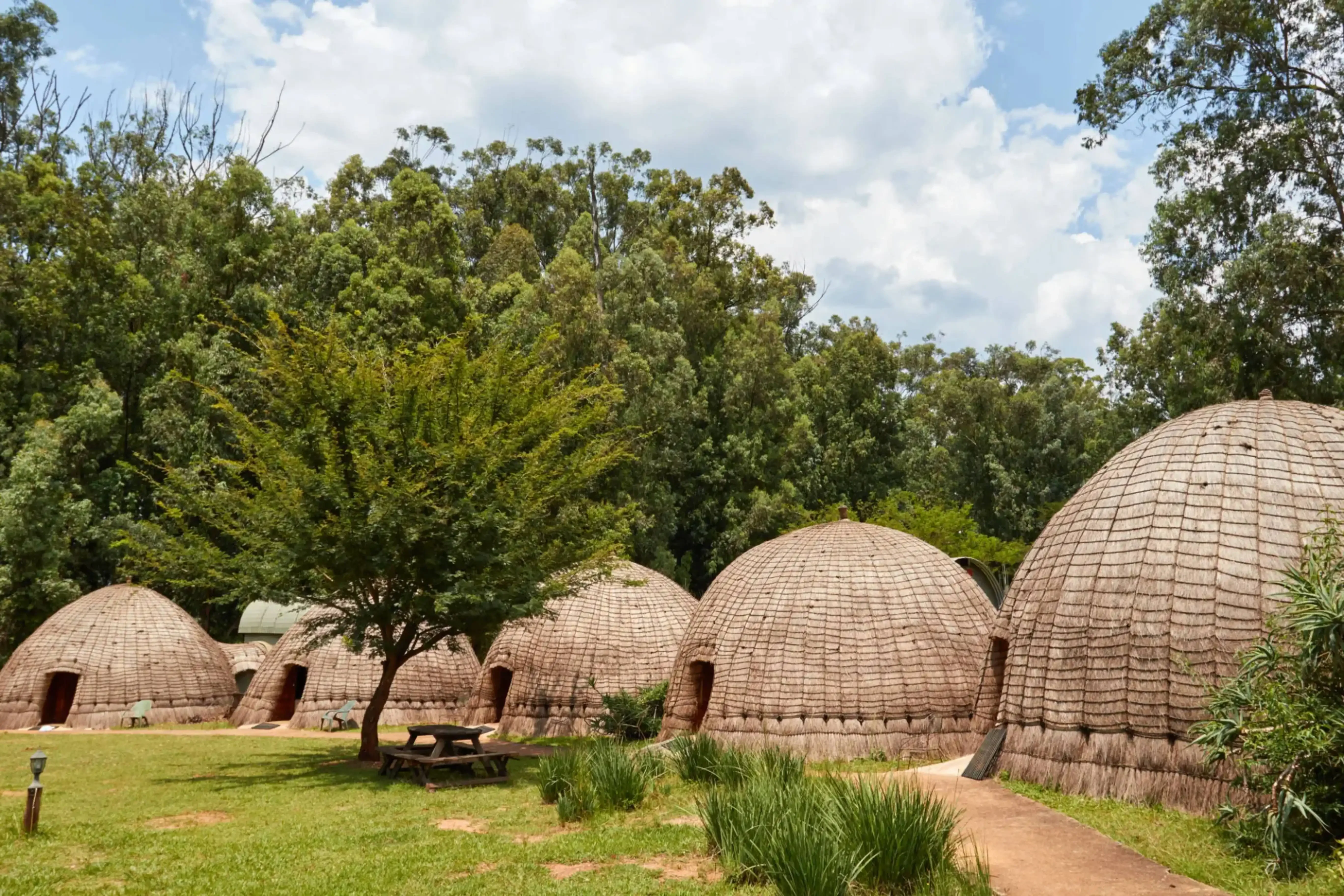 "Traditional Zulu beehive huts in a green forested area of South Africa."
