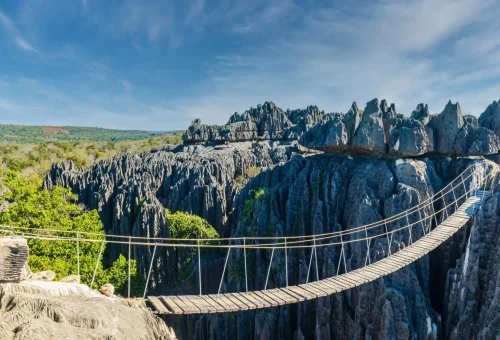 "Hanging bridge over the sharp limestone formations of Tsingy de Bemaraha National Park, Madagascar."