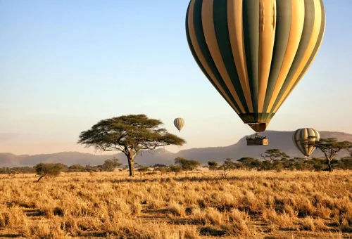 "Hot air balloons floating over the Serengeti savannah in Tanzania at sunrise."