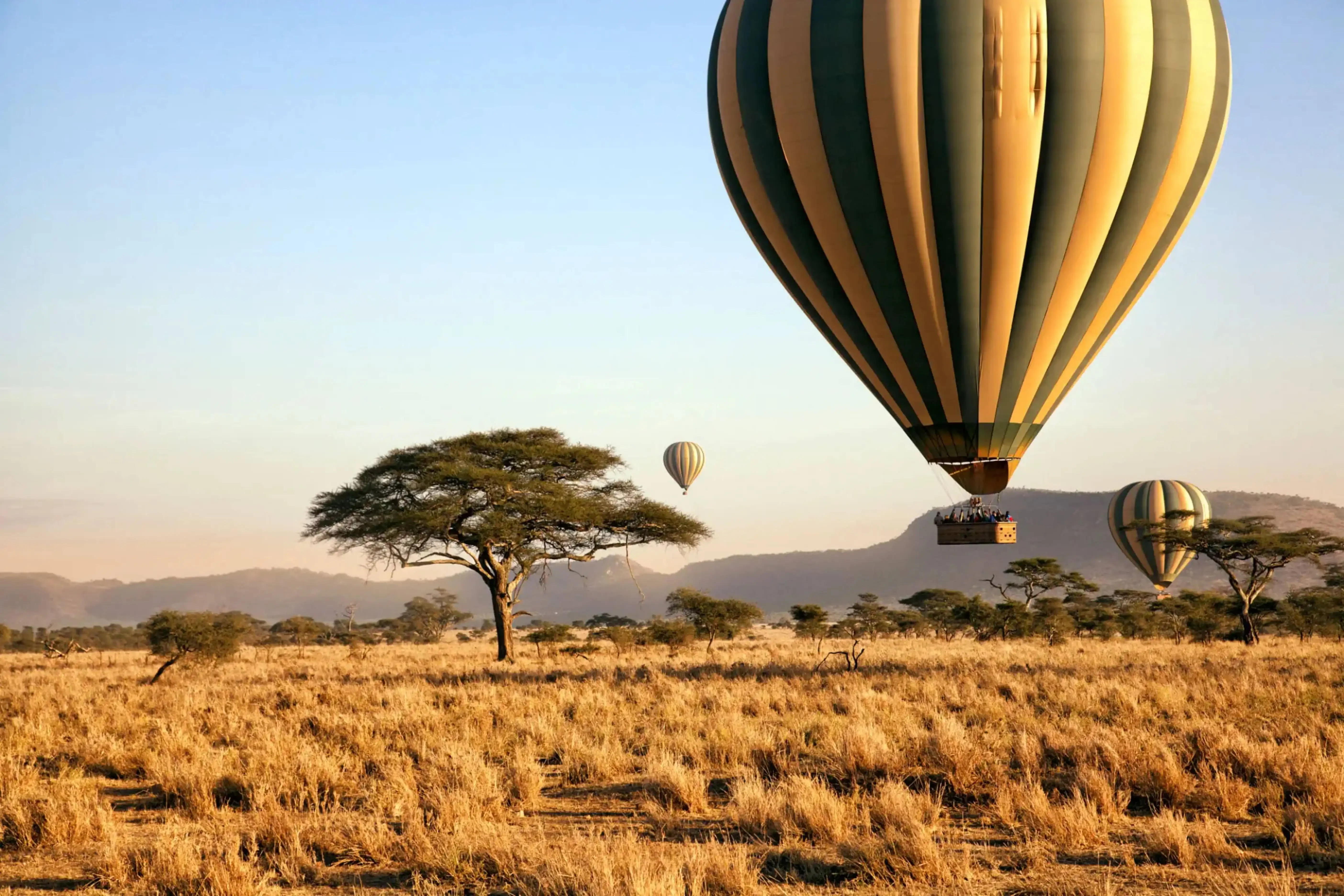 "Hot air balloons floating over the Serengeti savannah in Tanzania at sunrise."